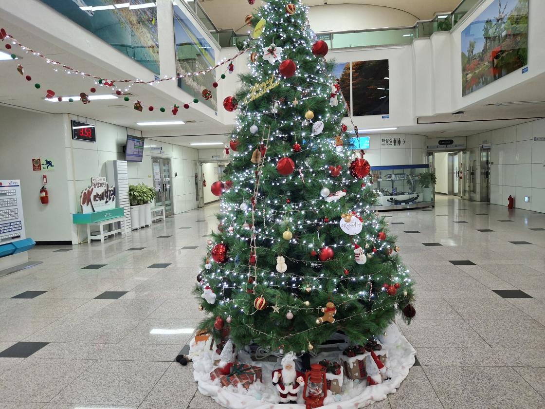 충청남도 농사랑쇼핑몰을 아시나요? 