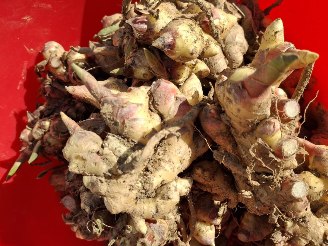 충청남도 농사랑쇼핑몰