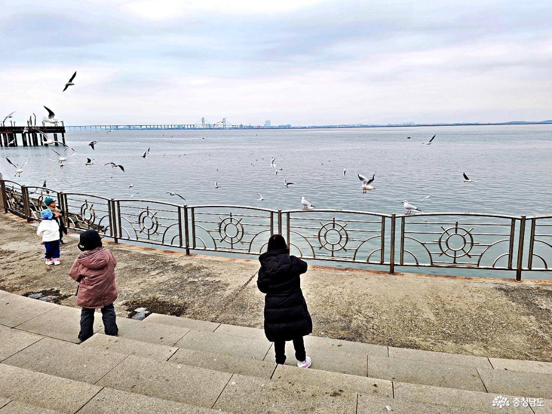 갈매기 먹이 주는 아이들