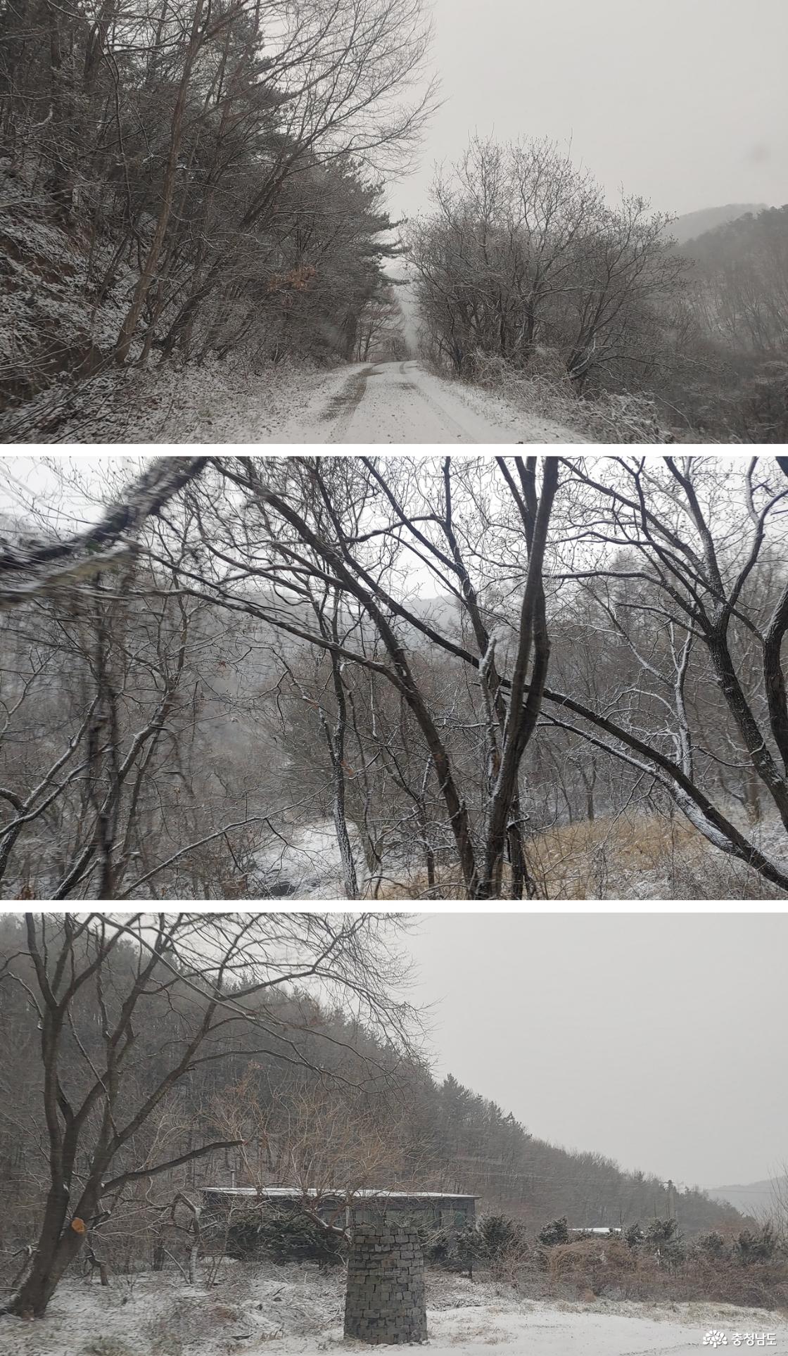 눈 내린 무학산 길 풍경 / 쌍령 고갯길 초입, 첫 번째 봉수가 있는 풍경