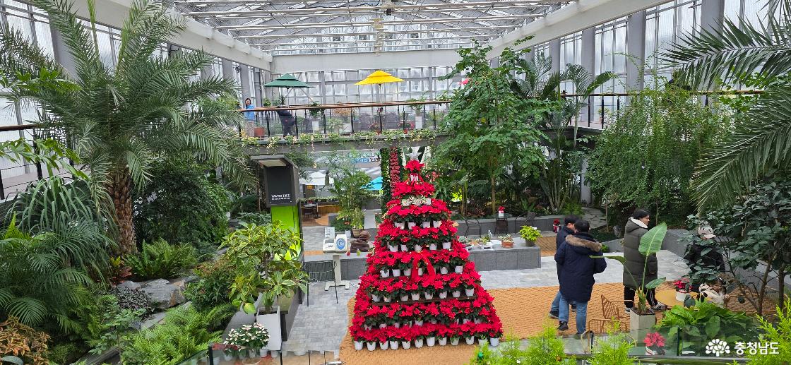 치유쉼터의 실내안