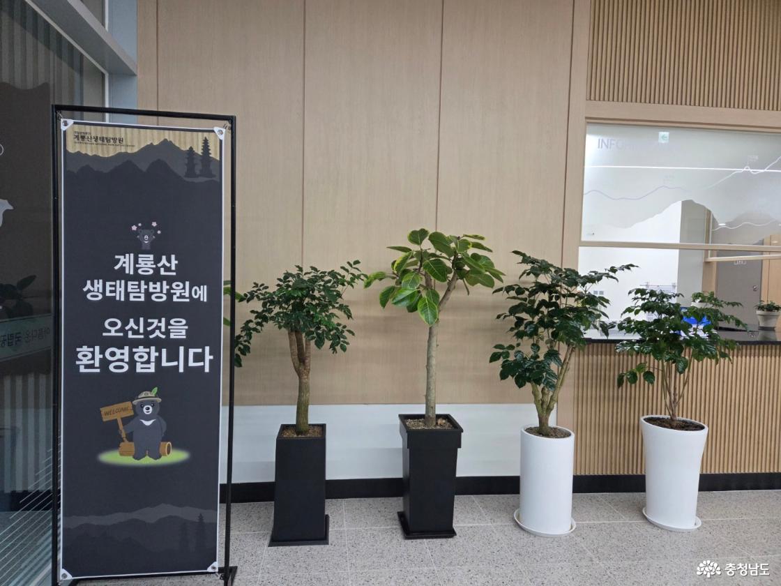 계룡산과 함께하는 이야기, 