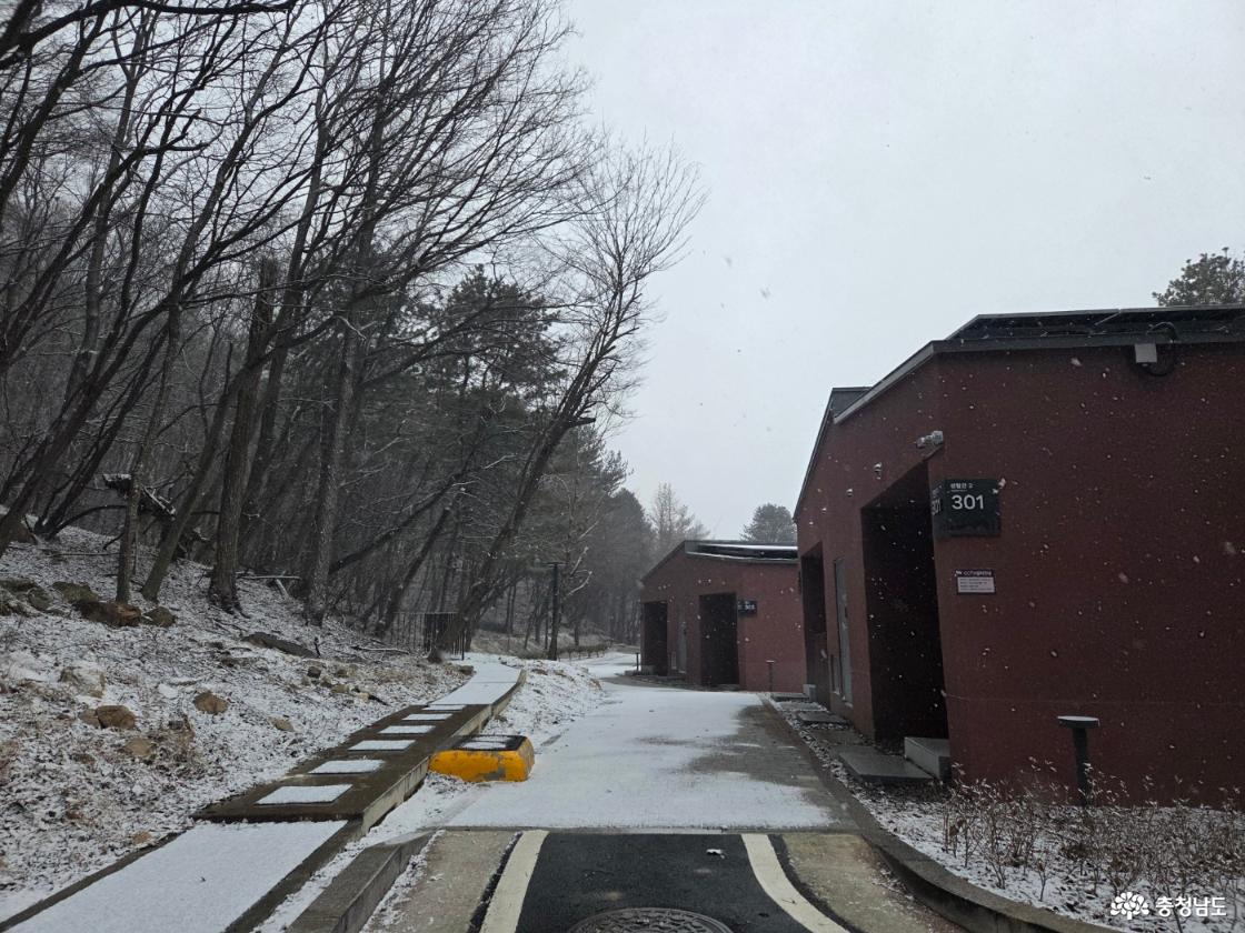 계룡산과 함께하는 이야기, 