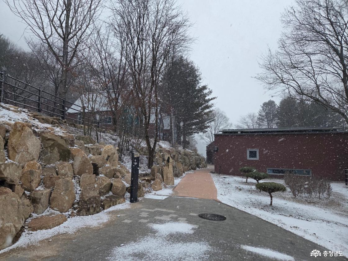 계룡산과 함께하는 이야기, 