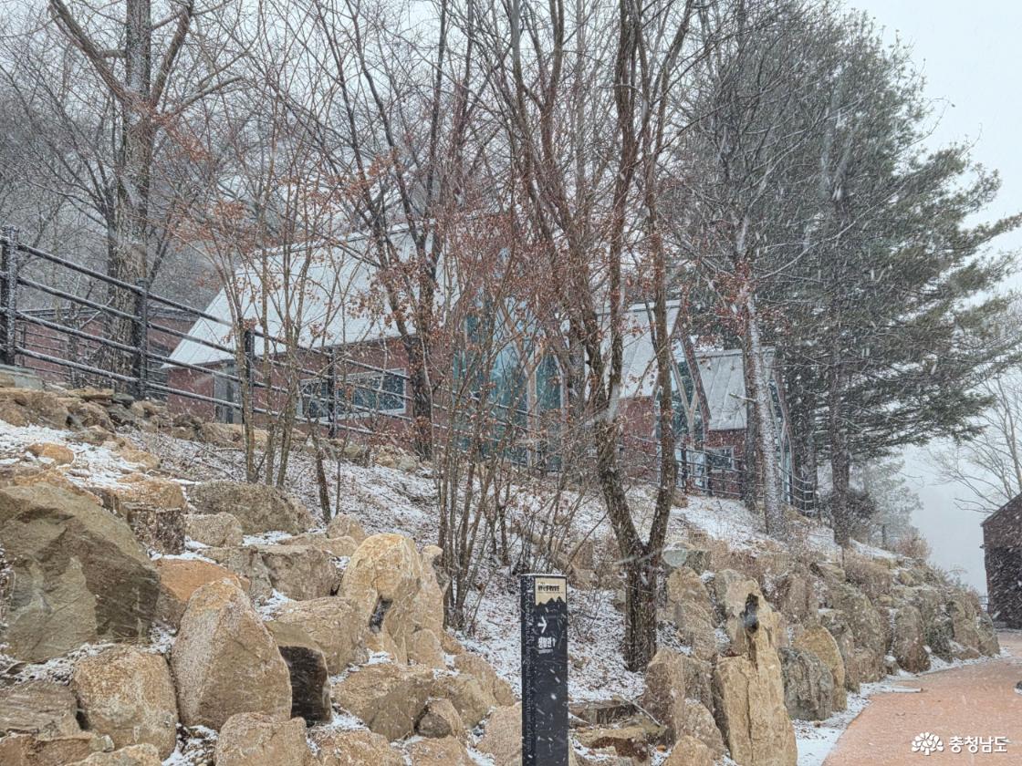 계룡산과 함께하는 이야기, 