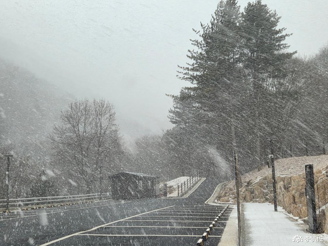 계룡산과 함께하는 이야기, 