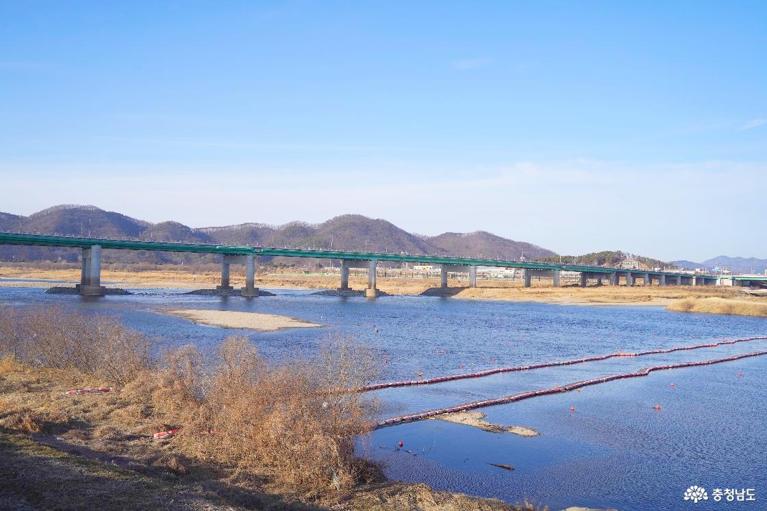 금강과 백제큰다리(백제대교)