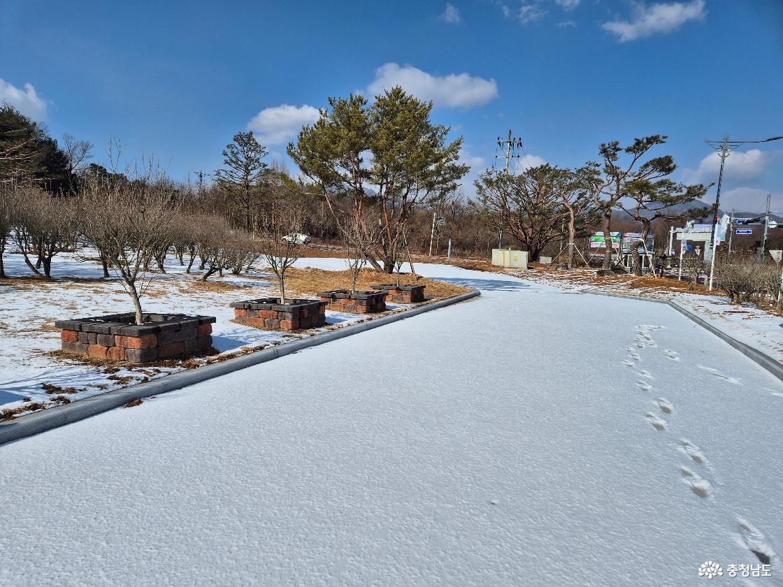 무궁화동산입니다