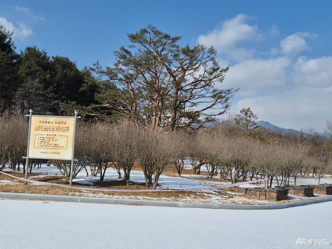 무궁화동산입니다