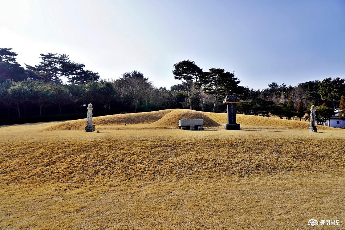 충청남도 문화유산자료 김정희 묘