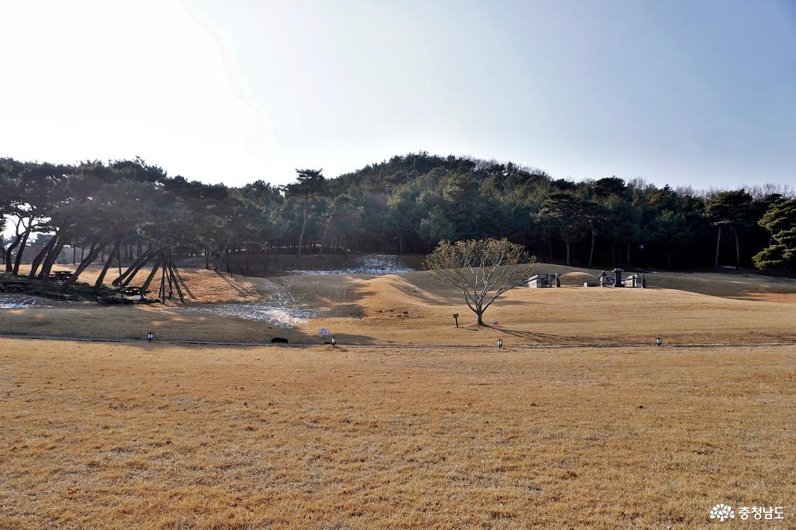 충청남도 문화유산자료 월성위 김한신의 묘