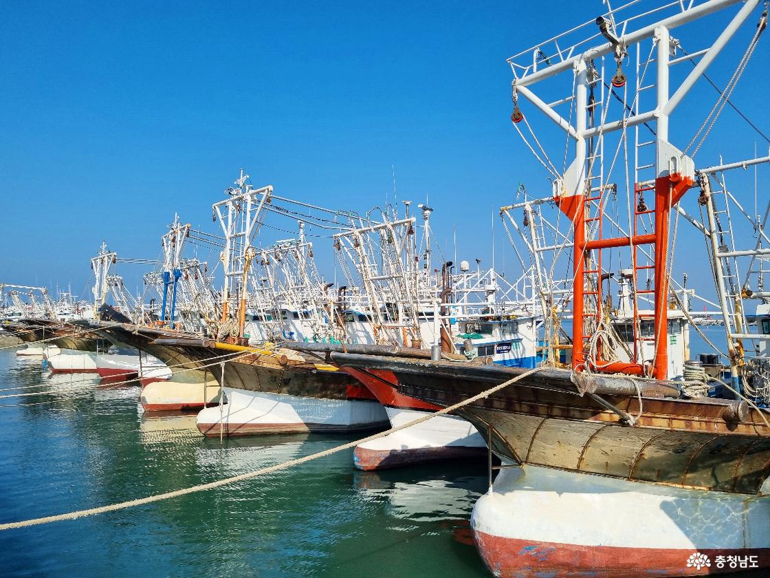 서천 홍원항, 겨울 풍경