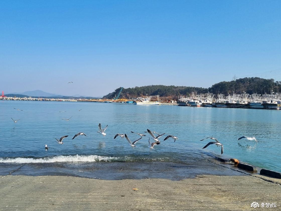 서천 홍원항, 겨울 바다 풍경