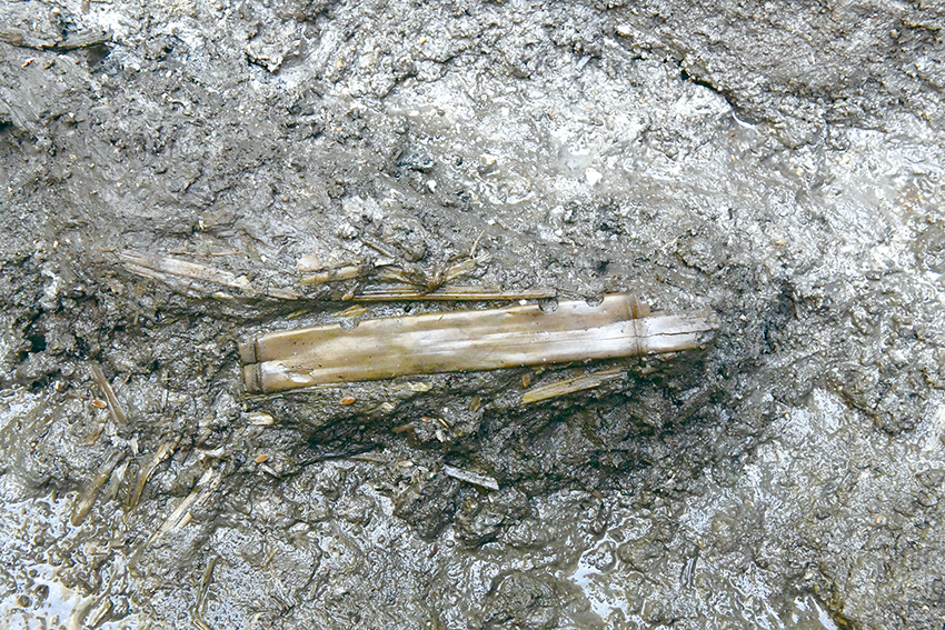 유물의 출토 모습. 