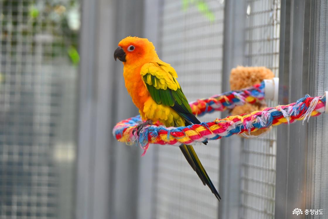 아이와 언제 가도 즐거운 아산시생태곤충원과 아산그린타워