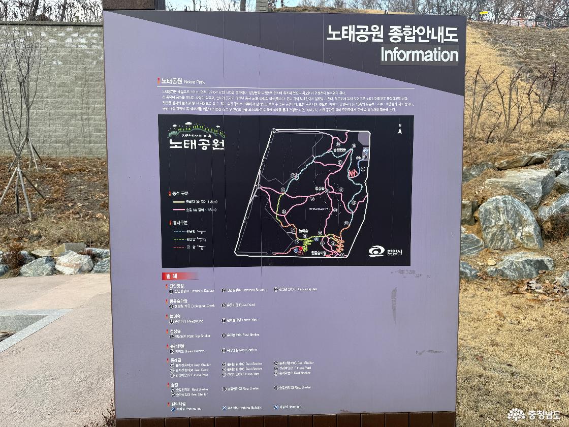 도심 속 숲길에서 누리는 일상 속 치유, 천안 '노태공원' 산책