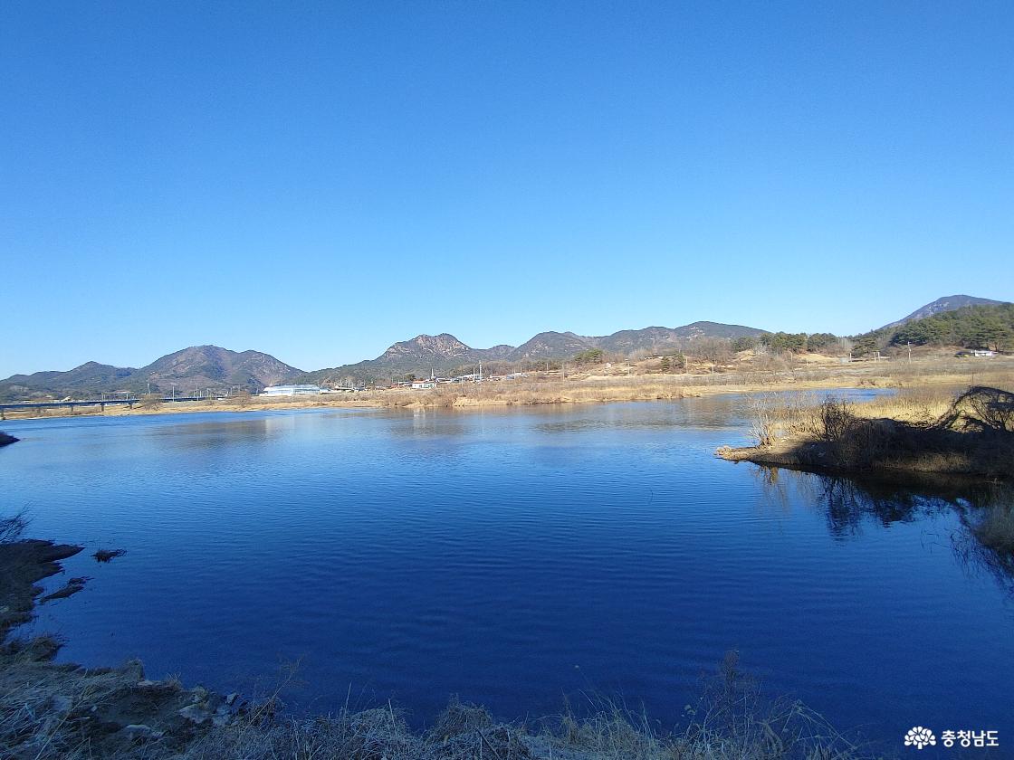 천내강 모습 용화리 쪽으로 습지가 펼쳐져 있다