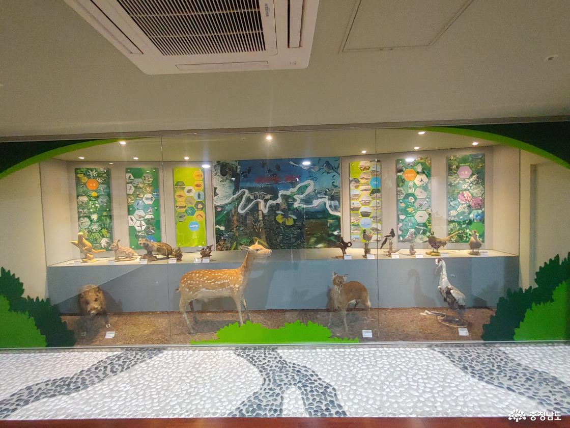 생태학습관 실내 모습