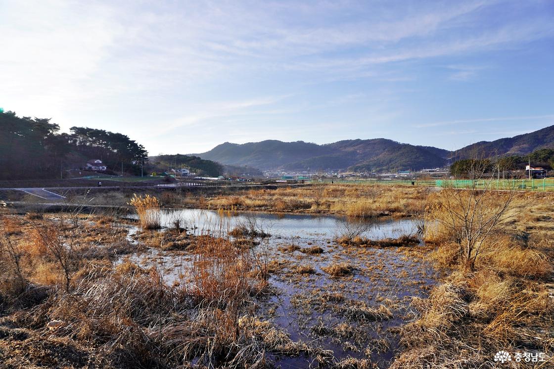 풍전저수지 둘레길