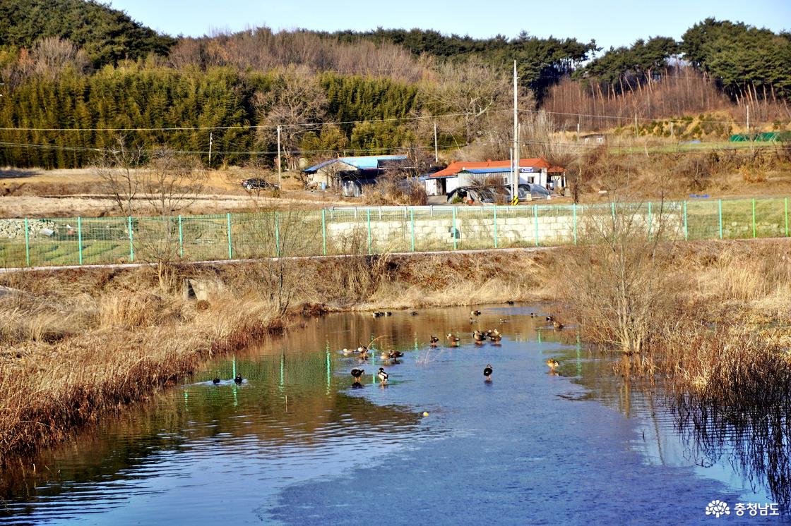 풍전저수지의 넓은 호수 전경