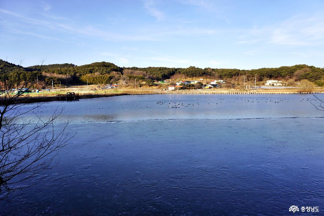 서산 풍전저수지의 수려한 경관