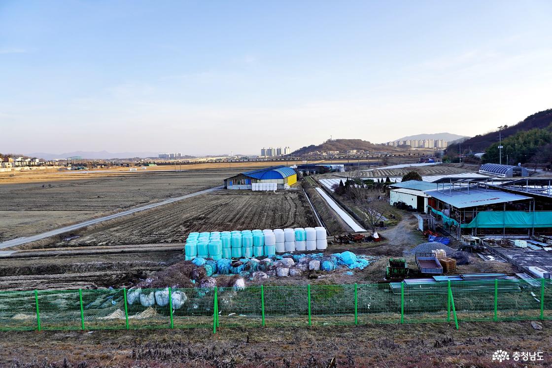 풍전저수지 아래 서산인지면의 농경지 벌판