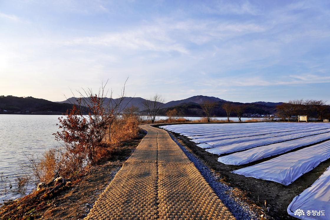 농경지와 맞닿은 풍전저수지둘레길