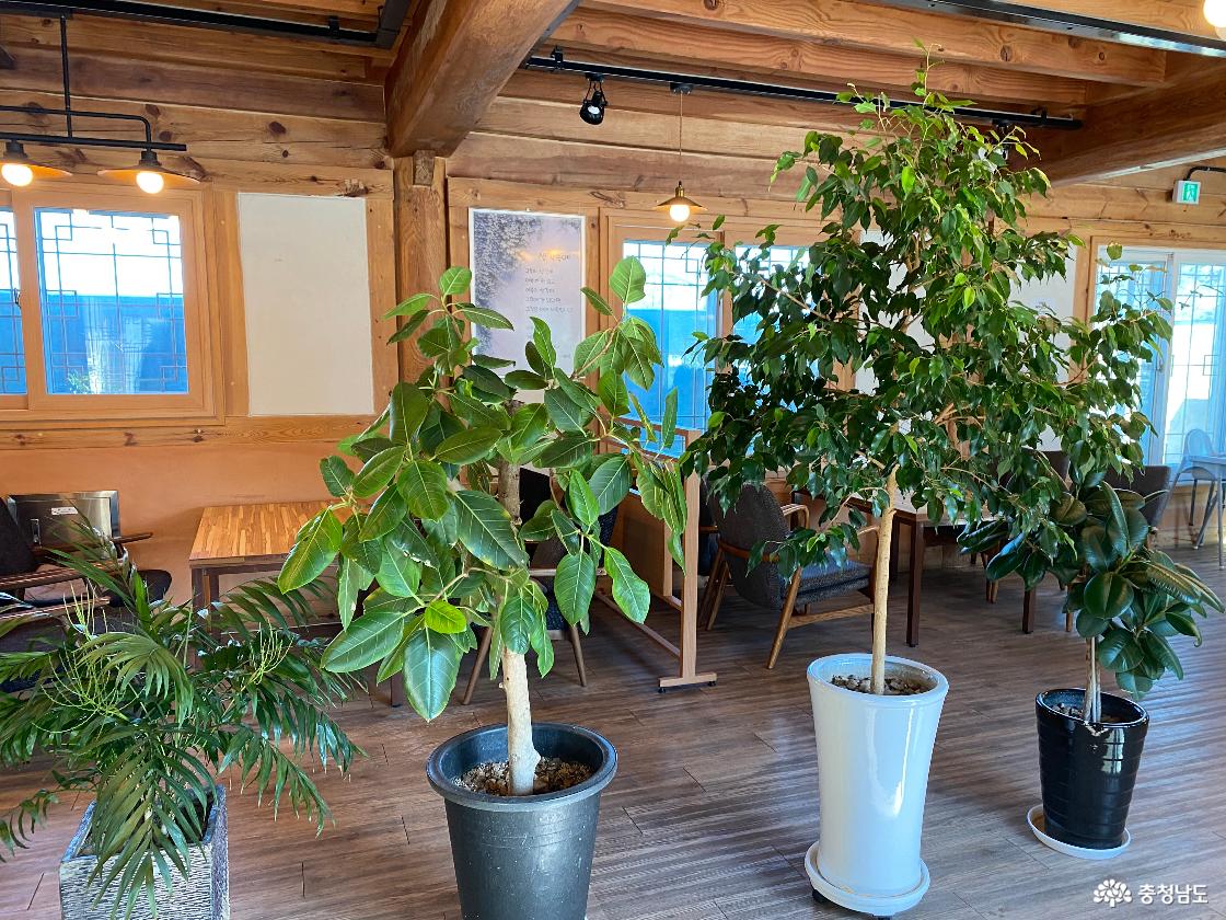 공주 마곡커피 2호점