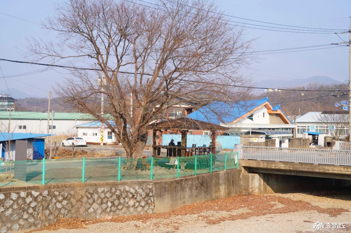 고현천 주변은 도시바람길숲이 조성돼 있다.