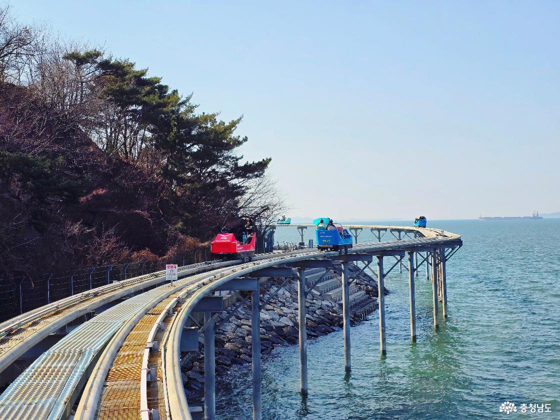 푸른 바다 위로 설치된 레일을 따라 달리는 스카이바이크 전경, 해안 절벽과 소나무 숲을 배경으로 곡선 구간을 지나가는 모습