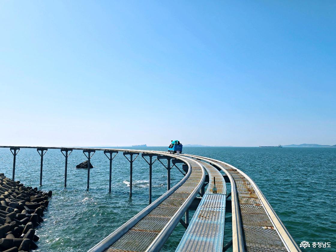 바다 위를 달리는 스카이바이크, 곡선 레일과 방파제가 함께 보이는 해안 코스 풍경