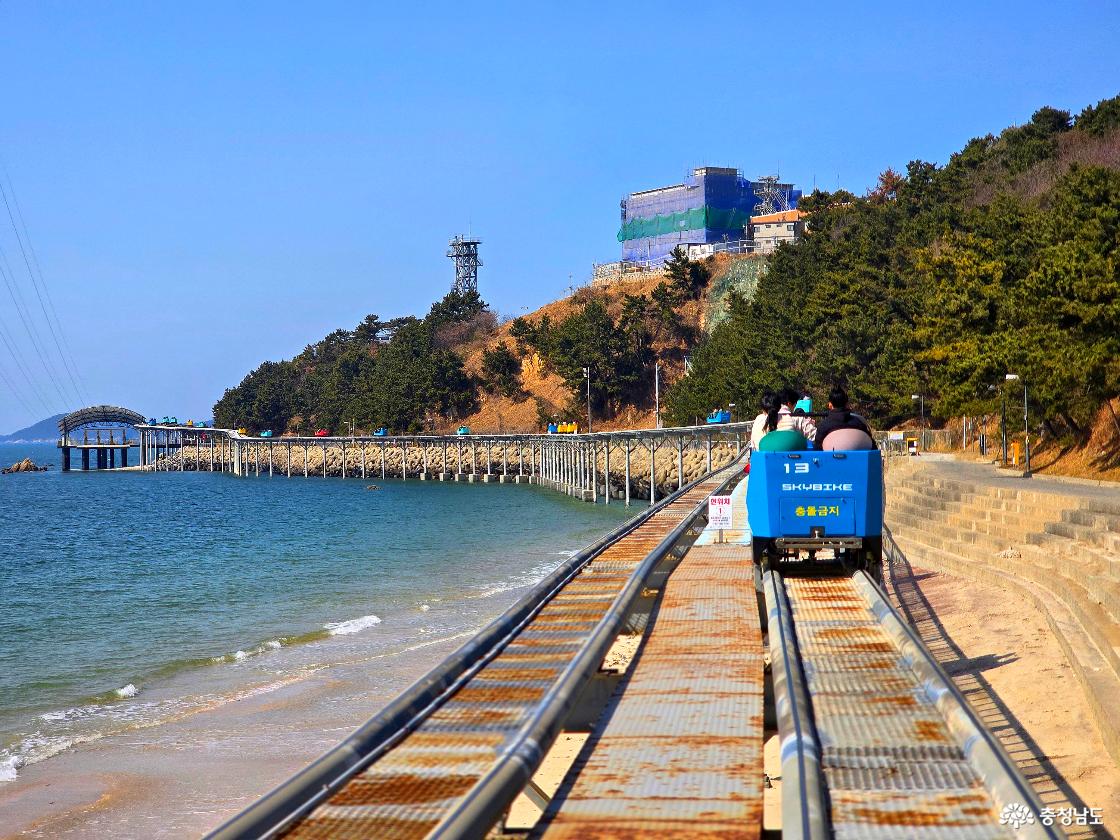 해안 산책로와 소나무 숲을 배경으로 달리는 스카이바이크 전경, 바다와 해변이 함께 어우러진 모습