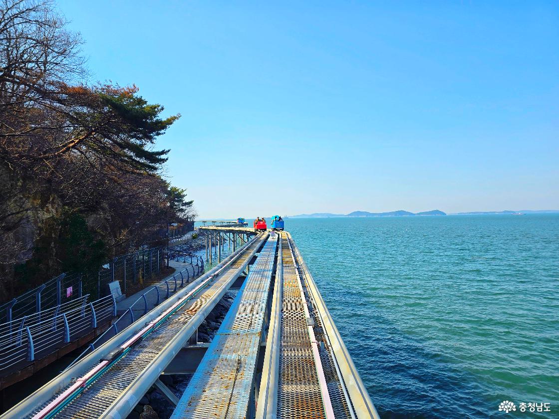 해안 절벽과 소나무 숲 옆을 따라 달리는 스카이바이크, 바다 위에 설치된 레일 구조가 보이는 장면