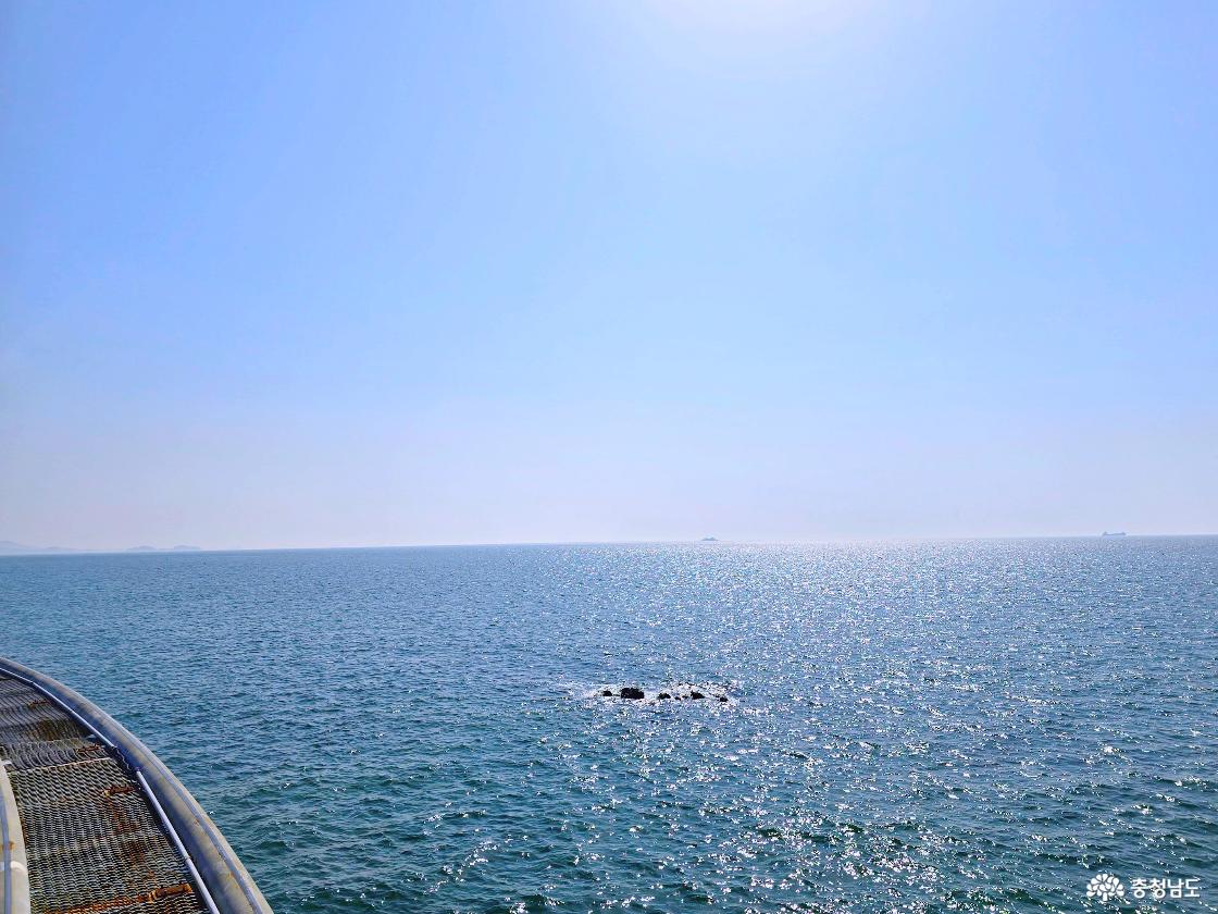 스카이바이크 레일 위에서 바라본 반짝이는 바다 전경, 수평선 너머 작은 섬이 보이는 장면