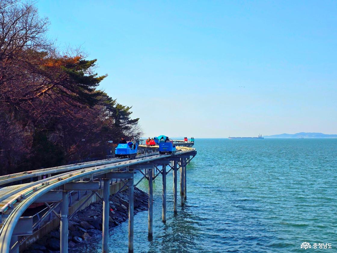 해안 절벽 옆 곡선 구간을 달리는 스카이바이크, 소나무 숲과 푸른 바다가 함께 어우러진 풍경