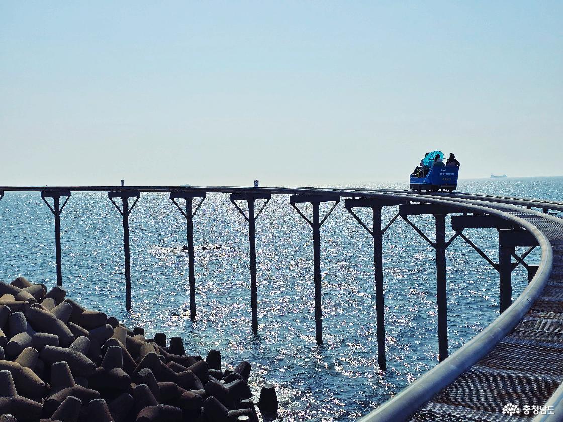 바다 위 곡선 구간을 달리는 스카이바이크와 방파제 테트라포드, 햇살 가득한 해안 풍경