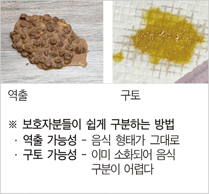 반려동물 보호자의 필수 상식