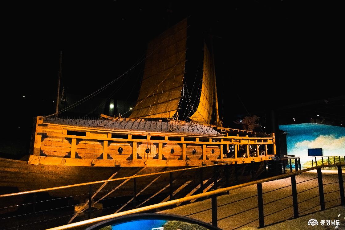 제1관 겨레의 뿌리