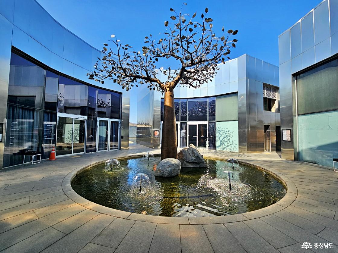 바오밥 나무 조형물