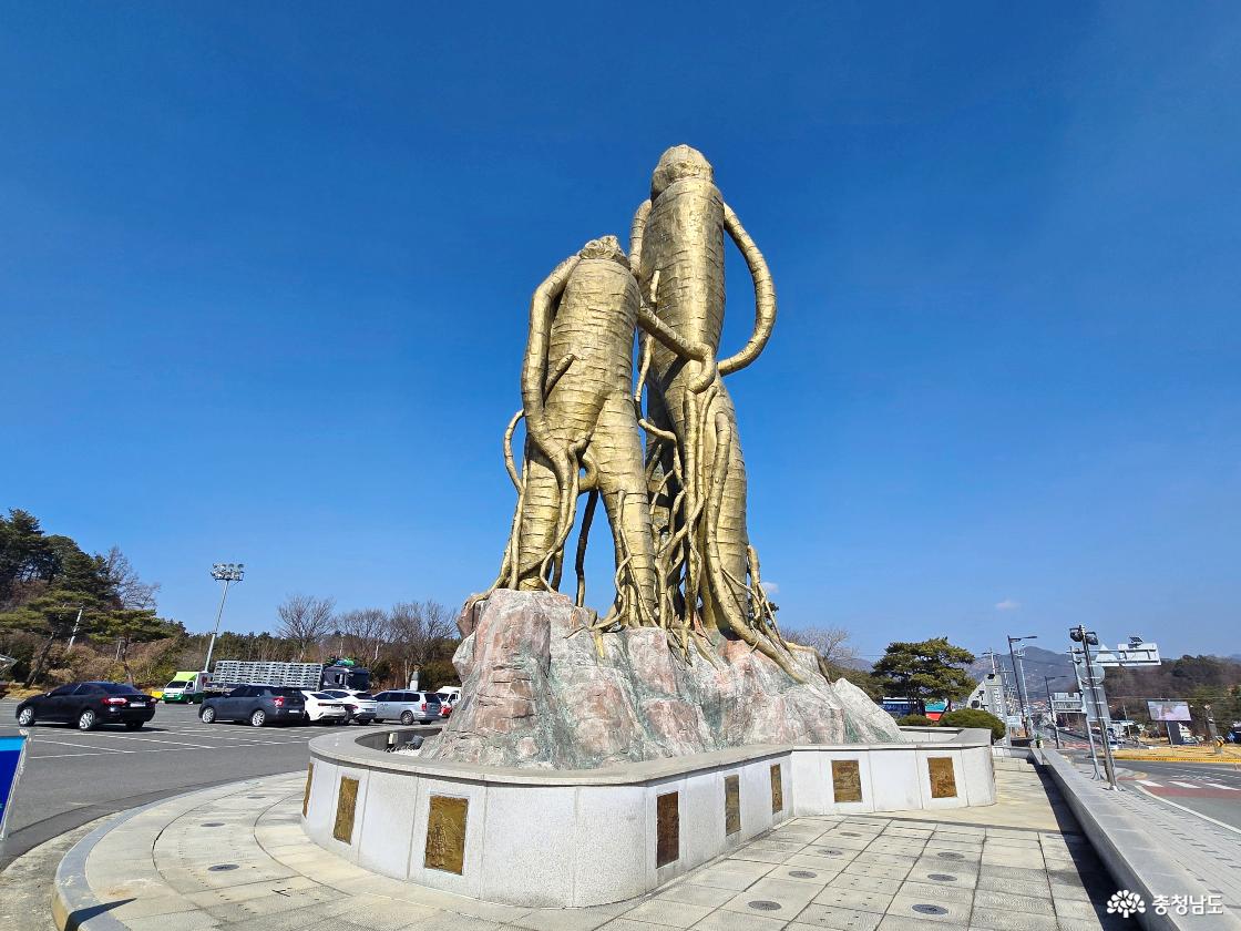 금산을 상징하는 대형 인삼 조형물과 주변 주차장 풍경