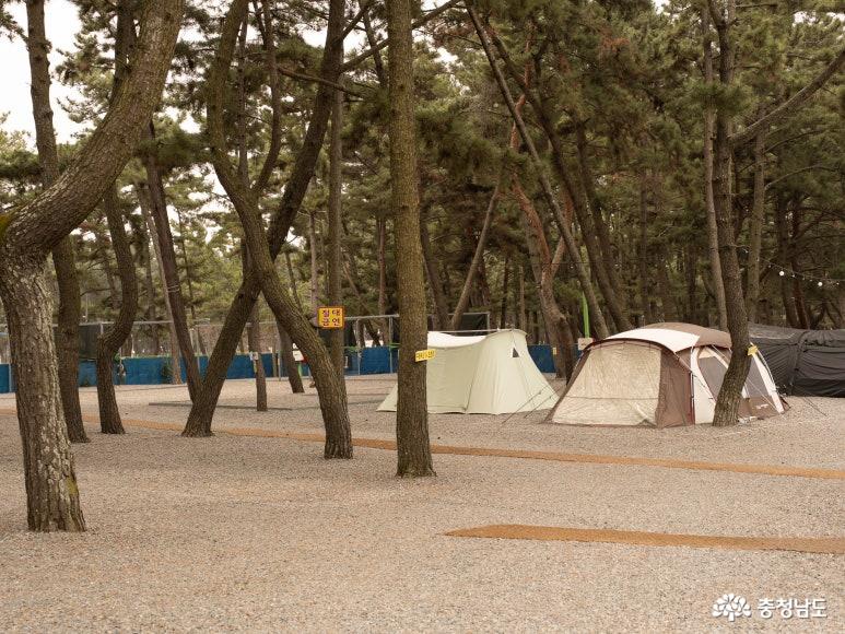 몽산포 캠핑장
