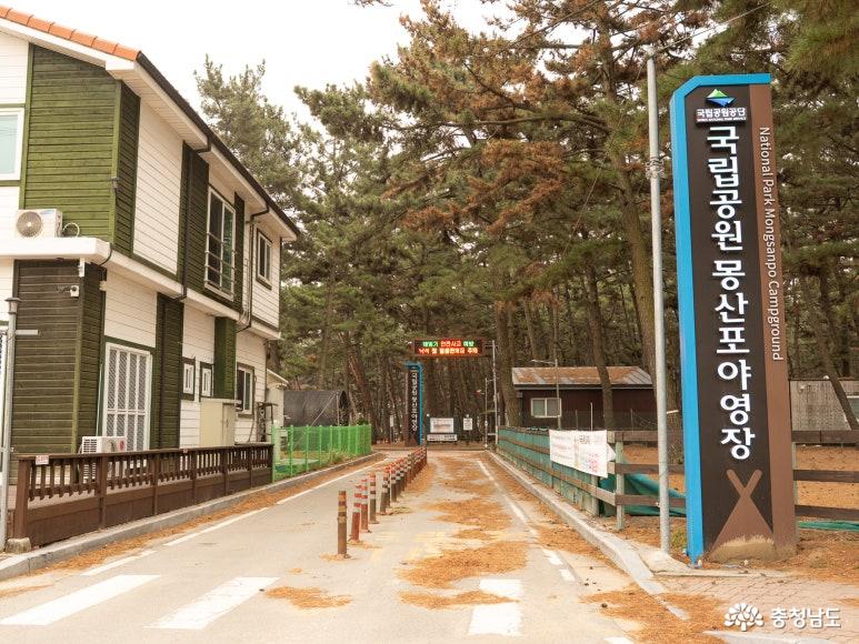 몽산포자동차 야영장