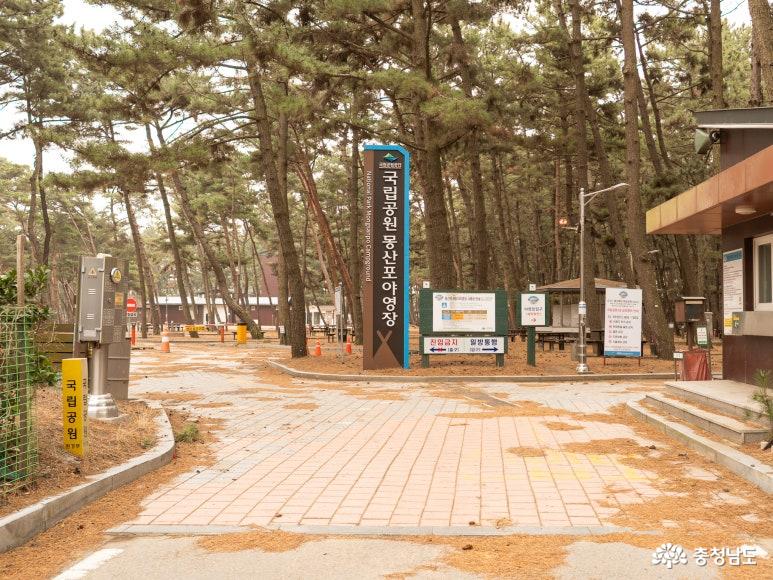  몽산포자동차 야영장