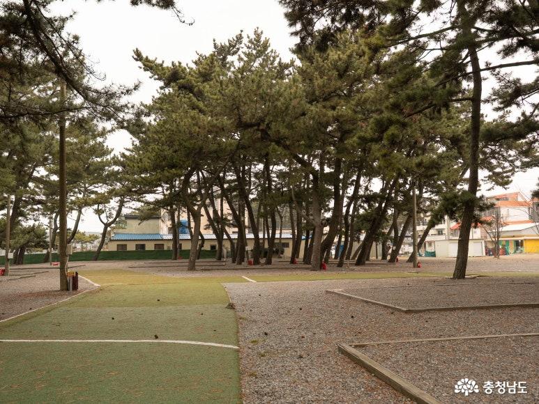 몽산포오토캠핑장