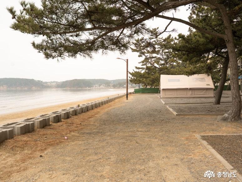 몽산포오토캠핑장