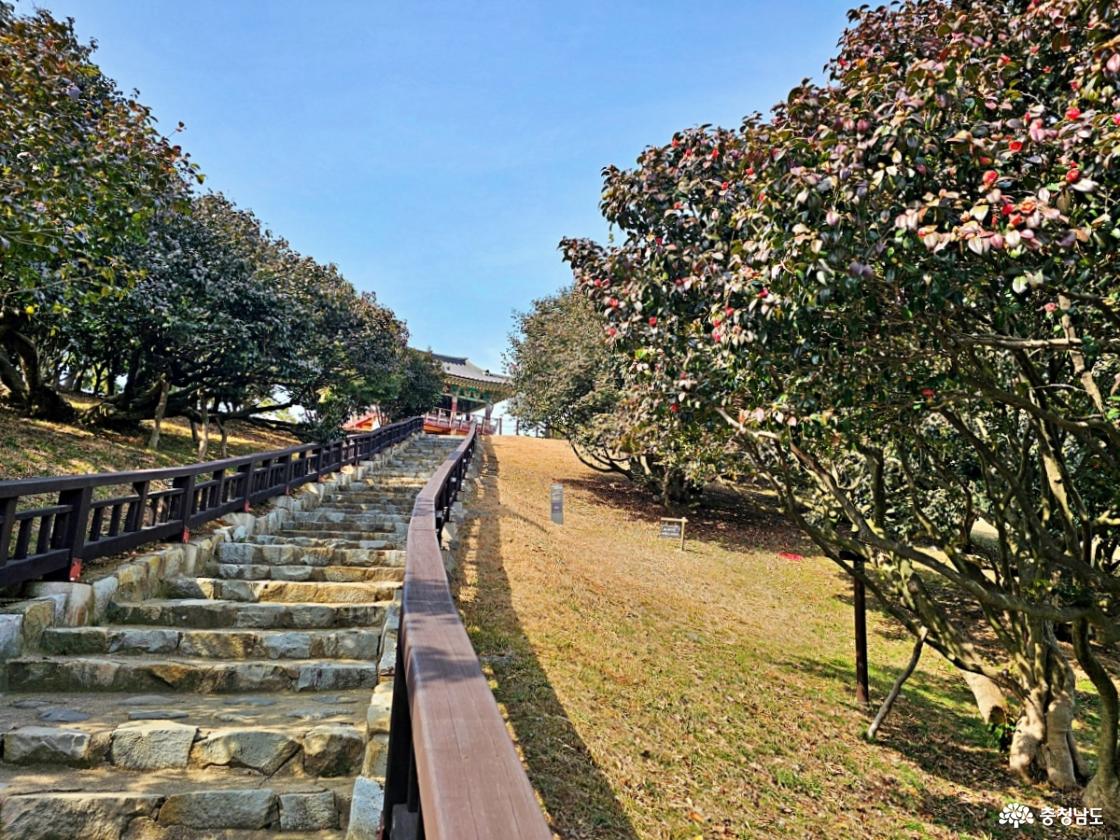 동백정으로 향하는 계딴