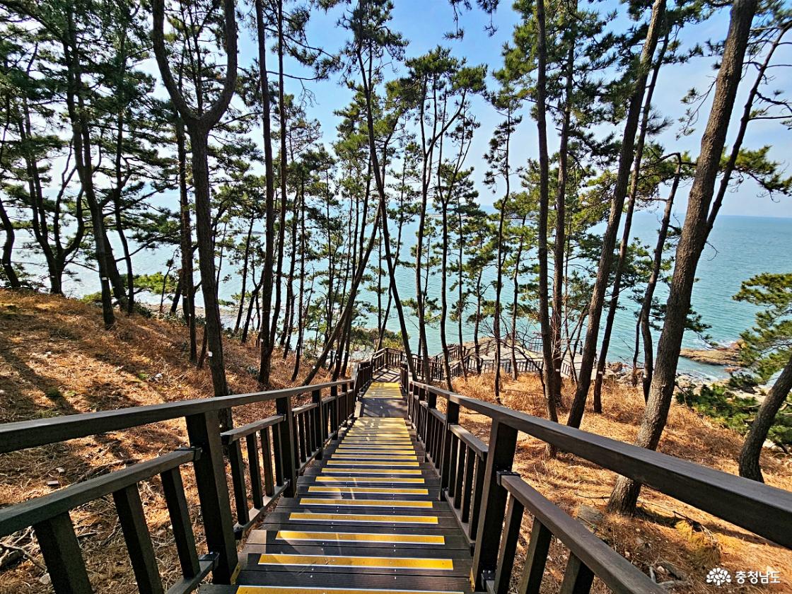 소나무 데크 계단