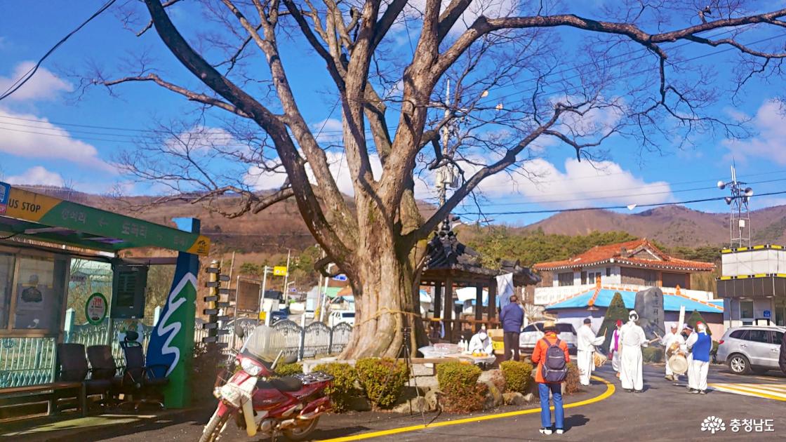 도곡리 마을회관앞 정월대보름 전통놀이행사장