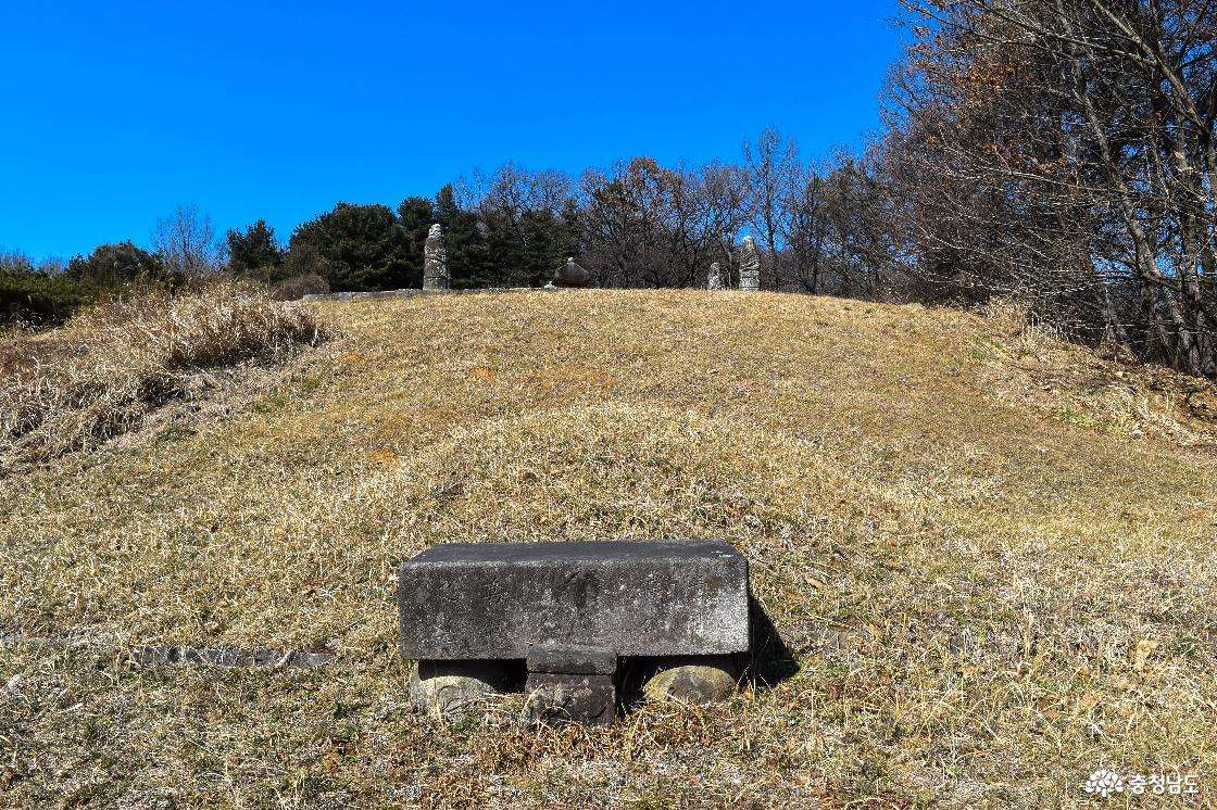 햇볕 잘 드는 양지 바른 곳 모습