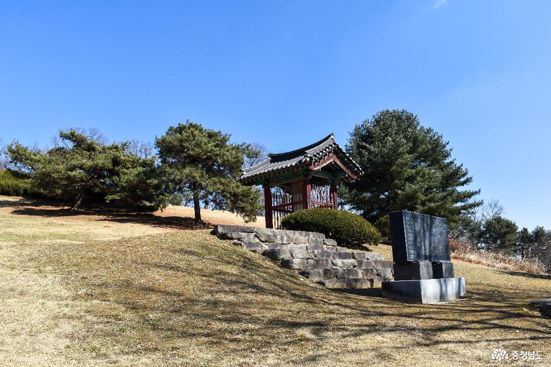 측면에서 바라본 신도비